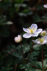 mt.tsukuba at 8:14 Apr,19 2025