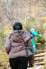 mt.cyausu at 9:44 Oct,20 2024