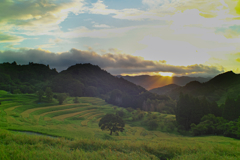 senmaida at 5:18 21,Aug 2021