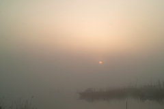 inba lake at 5:15 25,Apr 2022