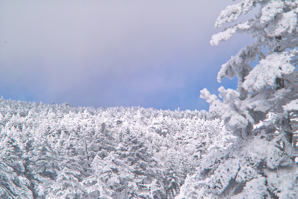 snow hike