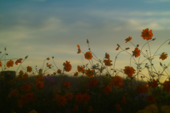 cosmos at 5:53 2,Oct 2022