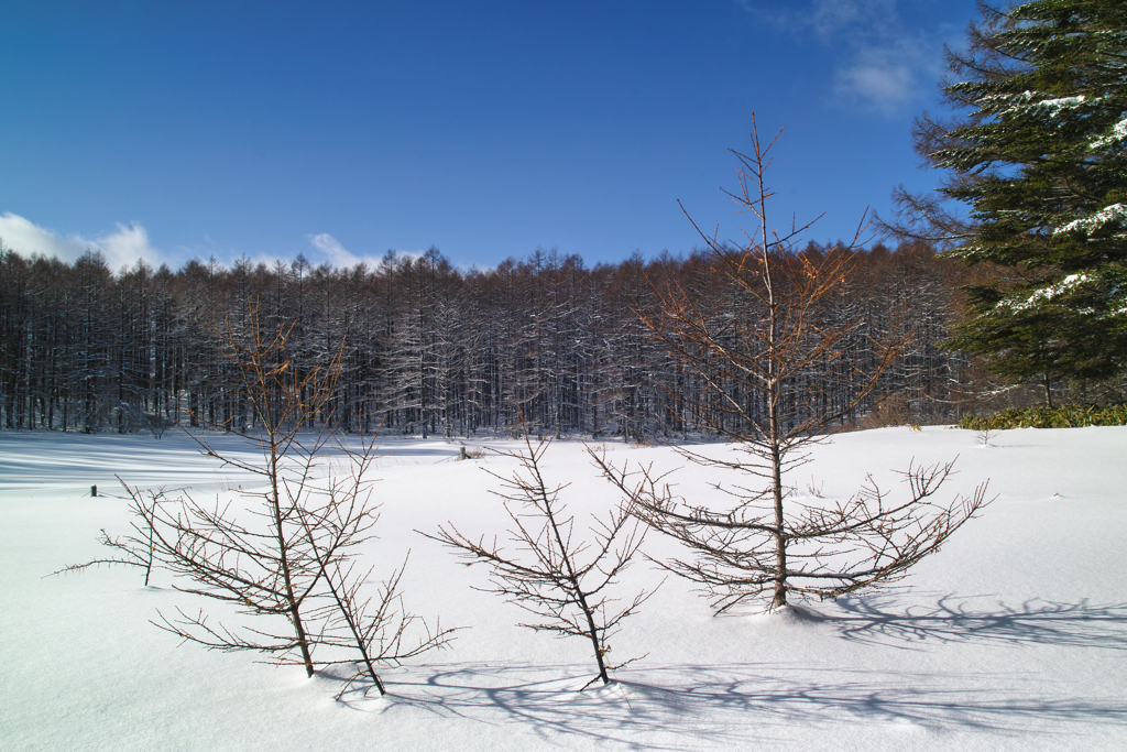 mt.yunomaruyama at 9:20 Jan,16 2026