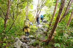 mt.sugorokudake mama at 8:14 Sep,13 2024