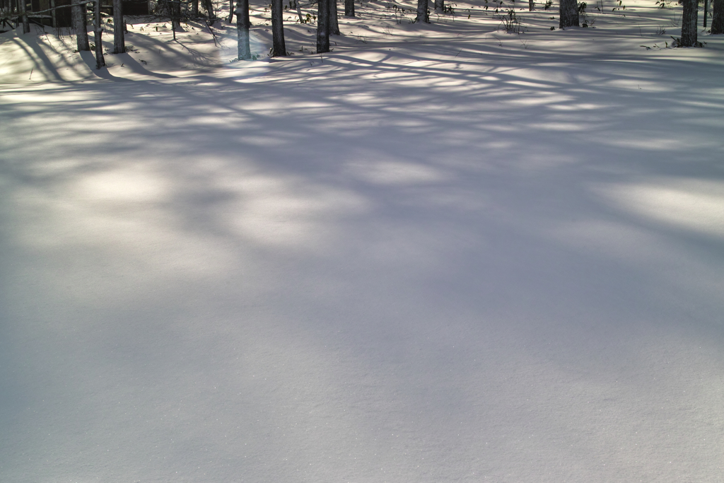 mt.yunomaruyama at 9:14 Jan,16 2026