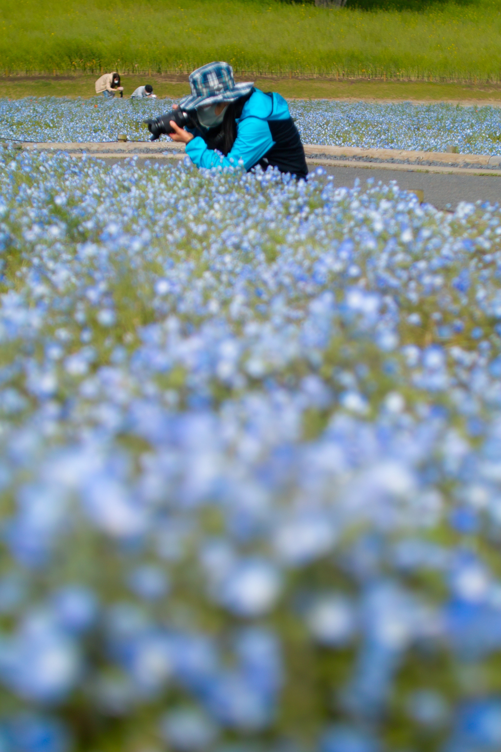 ひたちなか海浜公園