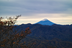 mt.yokoosan at 10:06 Nov,1 2025