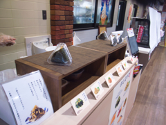 futaba SA 01(GRD 1st)