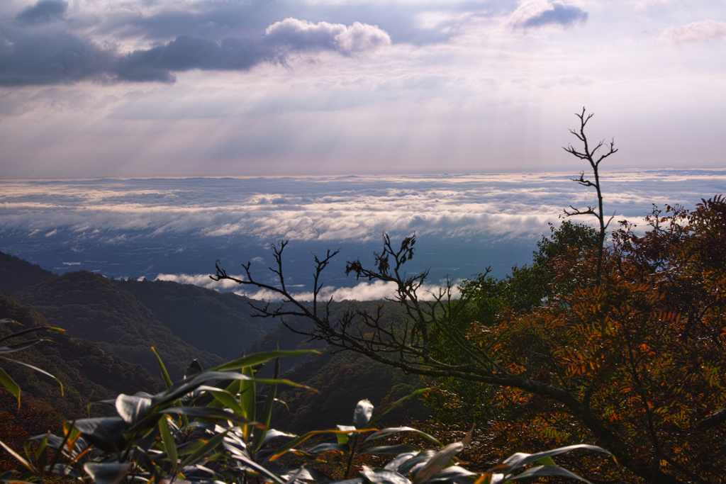 mt.cyausu on Oct.12 2025