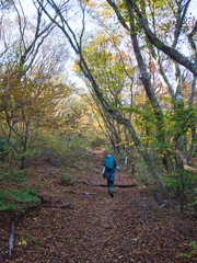 mt.tsukubasan on Nov,8 2025 01(GRD)