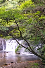 waterfall at nikkou13