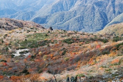 mt.cyausu at 12:55 Oct,20 2024