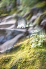 mt.akadake at 7-27 Aug,08 2025