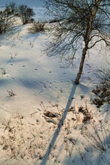 Ambient tateshina at 17:05 Feb,21 2025