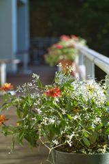 nasu_no_mori_village at 6:44 Oct,21 2024