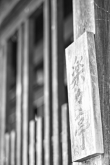 naraijyuku at 13:32 Oct,13 2024