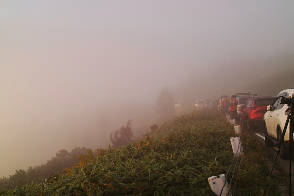 shibutoge at 5:38 12,Sep 2021