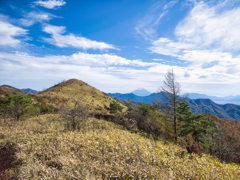 mt.meshimoriyama at 13-55 Nov,2025(GRD 1