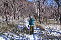 Icefall in mt.akagisan at 12:34 Jan,18 2