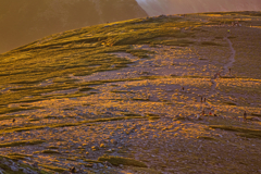 mt.sugorokudake at 5:45 2Sep,14 2024