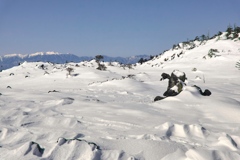 kitayoko at 9:45 Mar,15 2024