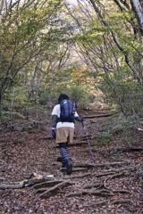 mt.tsukuba at 9:17 Nov.9 2024