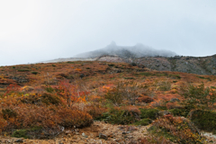 mt.cyausu ato 10:00 Oct,20 2024