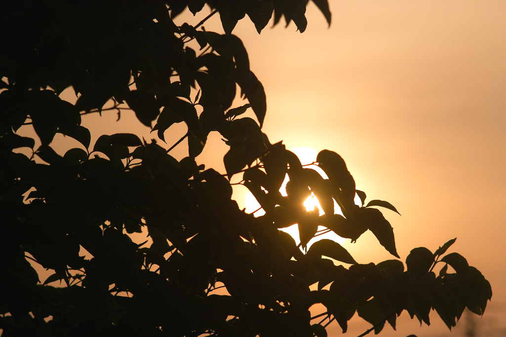 sunrise at 15,May 2021