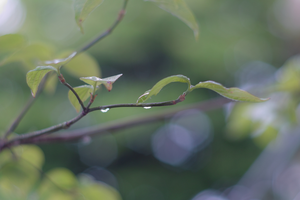 rainy day with water drop