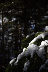shirakoma lake at 10:14 Dec,20 2024