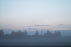 4:11 AM on 15,Jun2021