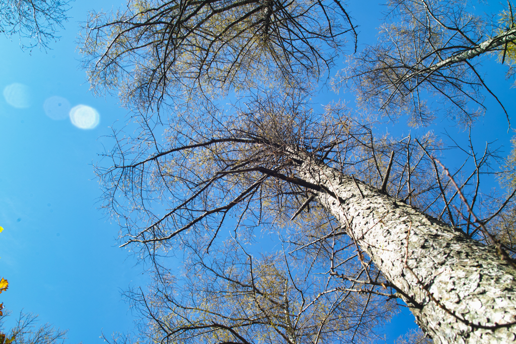 mt.yokoosan at 12:10 Nov,1 2025