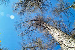 mt.yokoosan at 12:10 Nov,1 2025