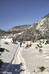 kitayoko at 9:51 Mar,15 2024