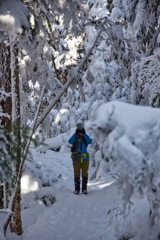 shirakoma lake at 10:10 Dec,20 2024