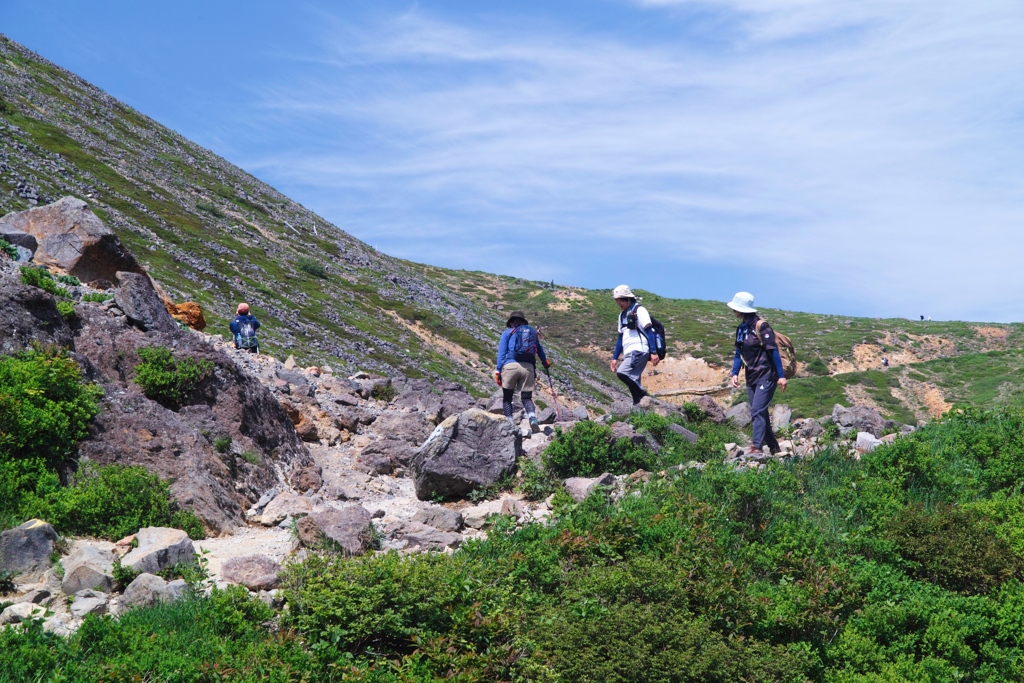 mt.cyausu at 9:20 Jun,15 2024