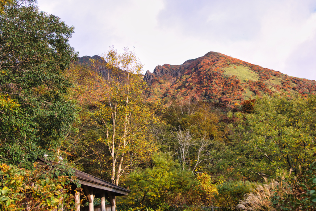 mt.cyausu on Oct.12 2025