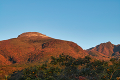 lover's sanctuary at 6:05 Oct,21 2024