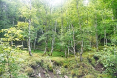 mt.akadake at 7-47 Aug,08 2025