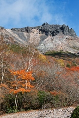 mt.cyausu at 13:15-2 0ct,20 2024