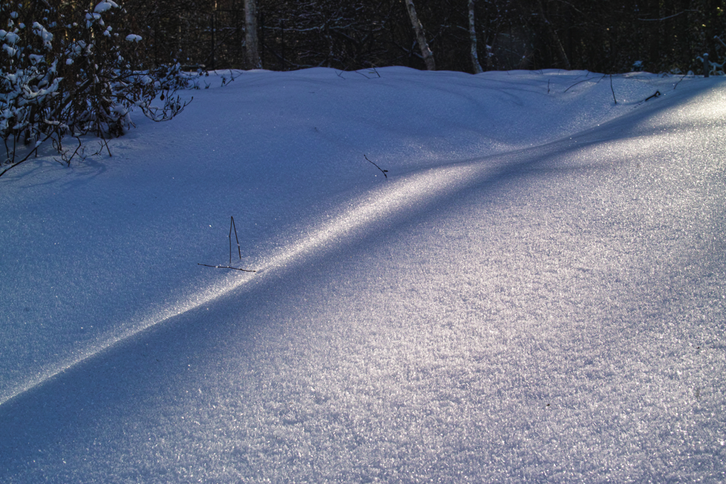 mt.nyukasayama at 12:12 Dec,19 2025