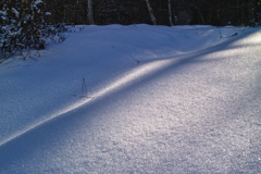 mt.nyukasayama at 12:12 Dec,19 2025