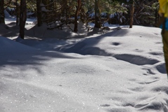 shirakoma lake at 10:38 Dec,20 2024