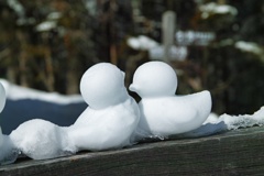 mt.kitayokodake at 11:13 Feb,21 2025