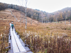 mt.nyuukasayama at 13-49 Nov,2 2025(GRD)