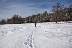 shirakoma lake at 11:43 Dec,20 2024