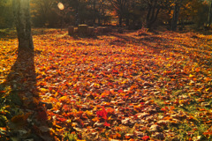 hapougahara in tochigi pref.