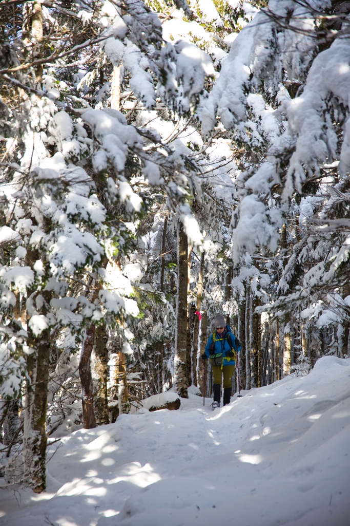 shirakoma lake at 10:08 Dec,20 2024