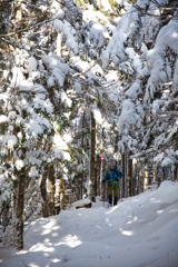 shirakoma lake at 10:08 Dec,20 2024