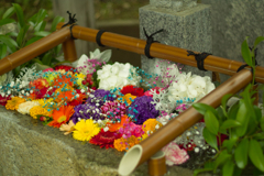flower water at tama shrine
